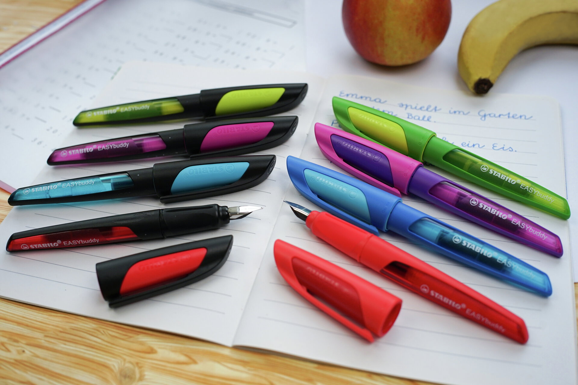 STABILO EASYbirdy Stylo plume ergonomique 3D Wildfile Édition spéciale STABILO EASYbirdy Stylo plume ergonomique 3D Wildfile Édition spéciale