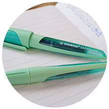Fountain Pen STABILO EASYbirdy Pastel Edition