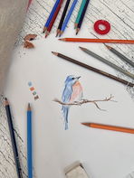 Colored Pencils STABILO Original