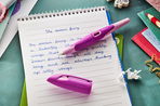 Fountain Pen STABILO EASYbirdy 3D DreamWorld
