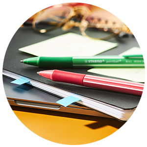 Ballpoint Pen STABILO pointball colorful