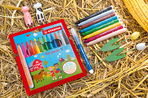 Fiber-Tip Pen STABILO Trio Jumbo