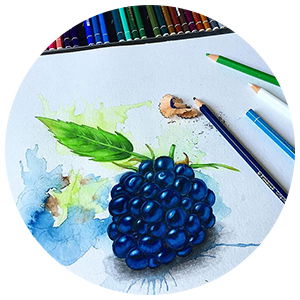 Colored Pencils STABILO Original