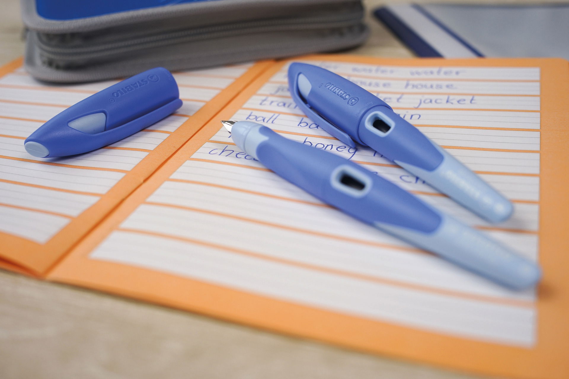 Fountain Pen STABILO EASYbirdy Pastel Edition