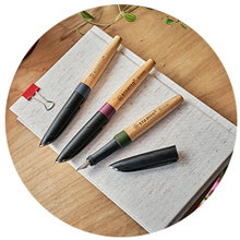 Fountain Pen STABILO Grow