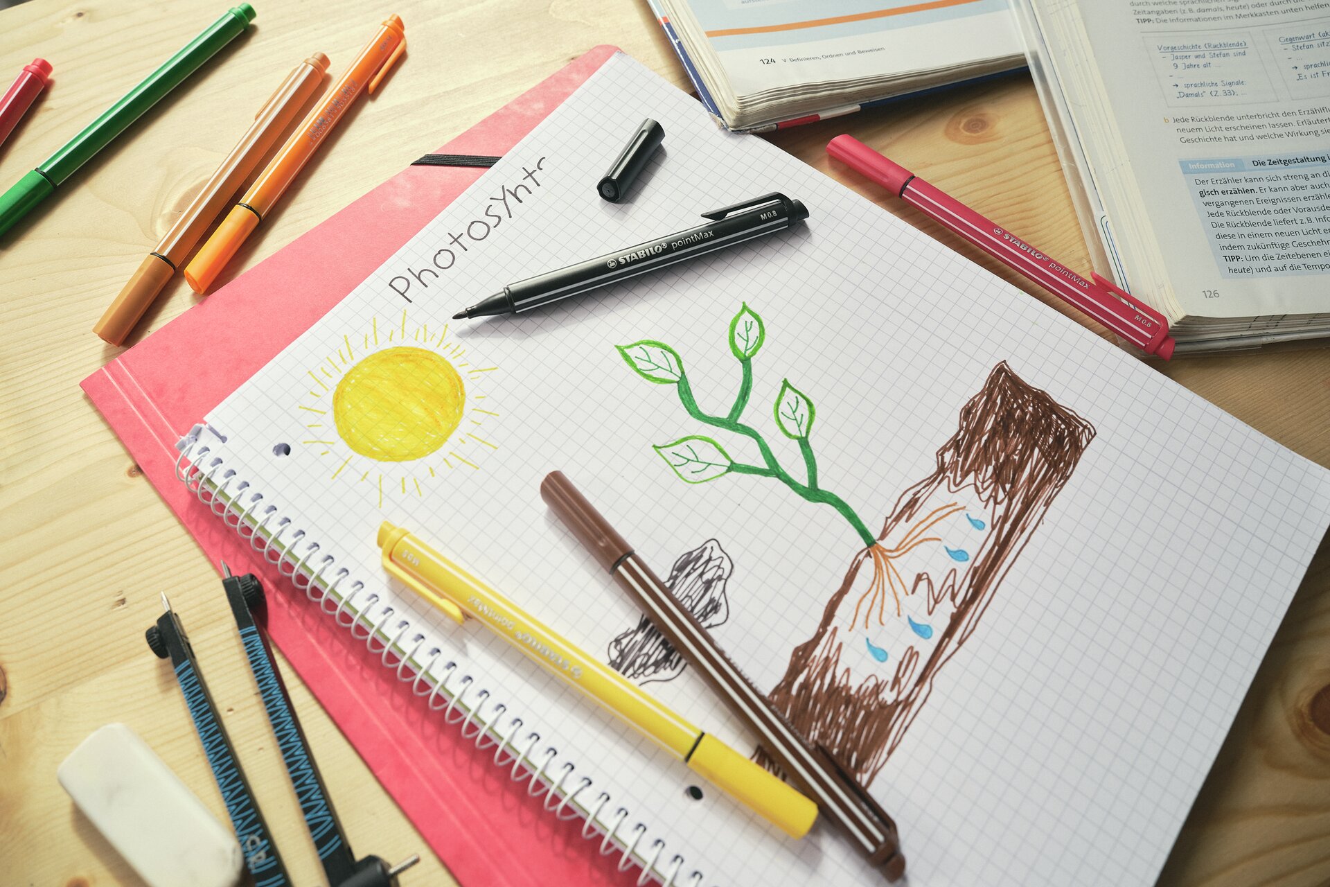 Fineliner & Filzschreiber STABILO pointMax