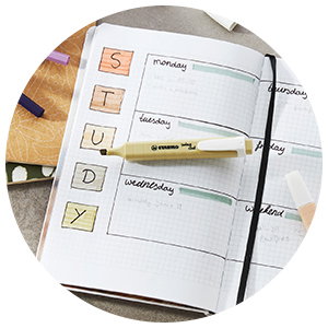 Textmarker STABILO swing cool NatureCOLORS