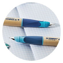 Fountain Pen STABILO EASYbirdy Timber