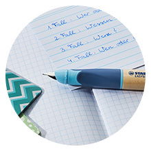 Fountain Pen STABILO EASYbirdy Timber