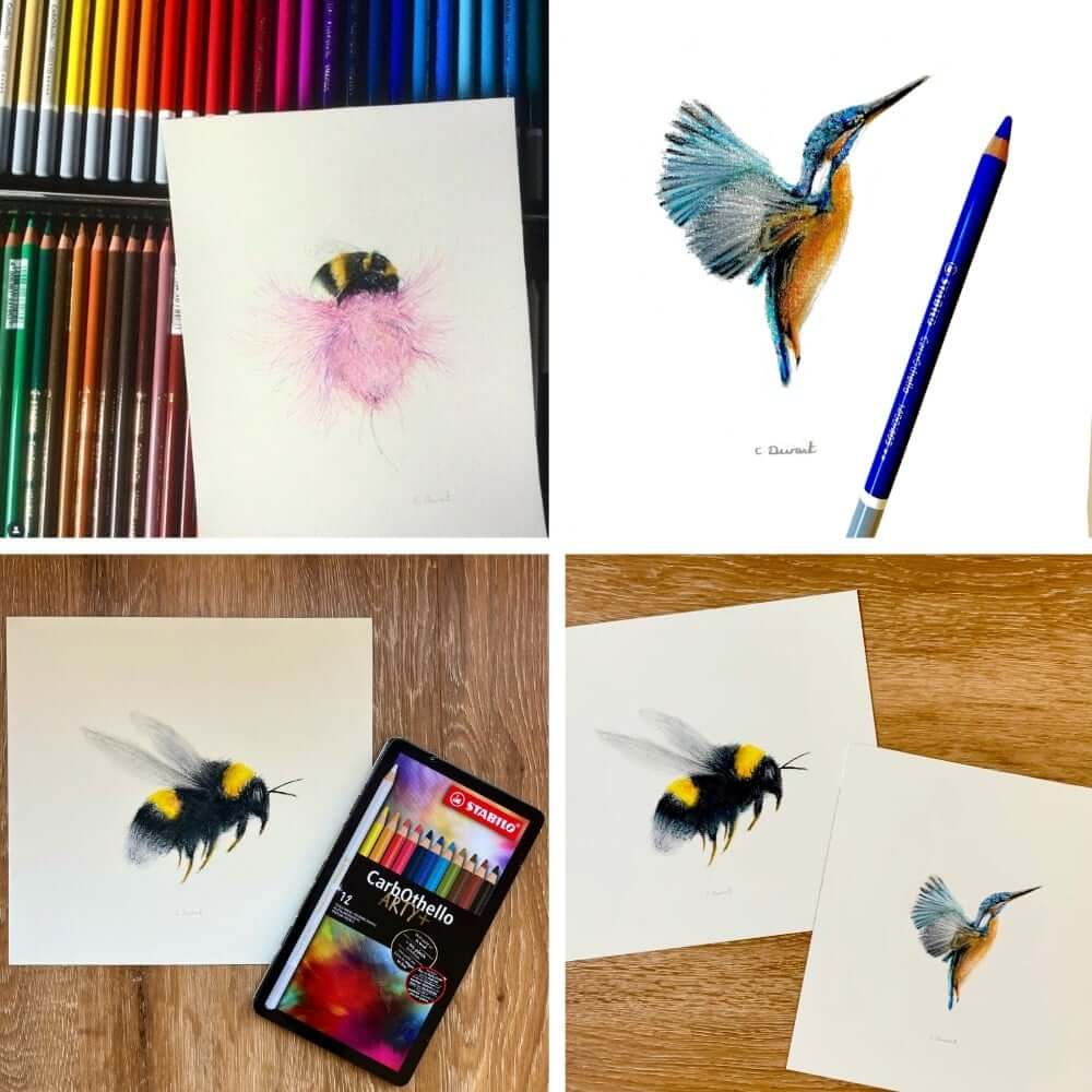 Kunst, Collage, Honigbiene, Wirbellose, Vogel, Kunst, Collage, Honigbiene, Wirbellose, Vogel