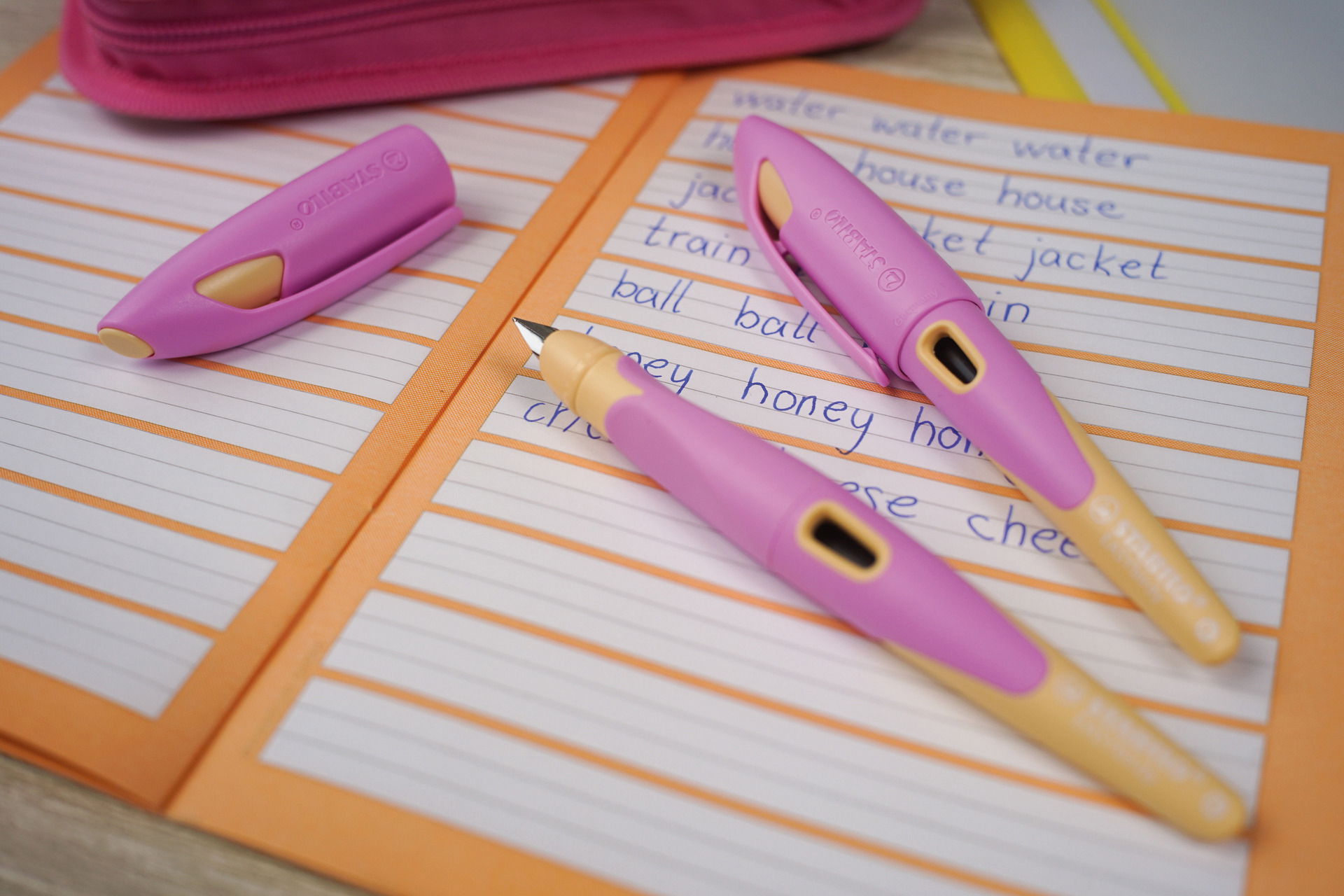 Stylo-plume STABILO EASYbirdy Pastel Edition