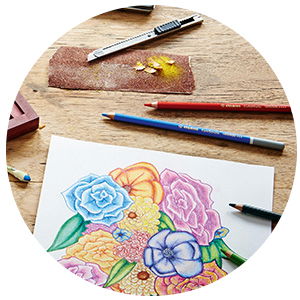 Colored Pencils STABILO CarbOthello