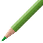 Colored Pencils STABILO color