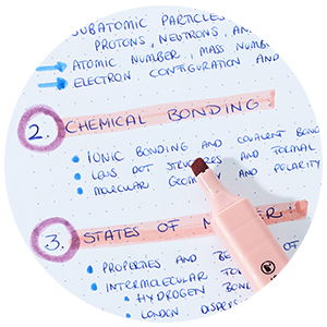 Highlighter STABILO swing cool NatureCOLORS Wildflower